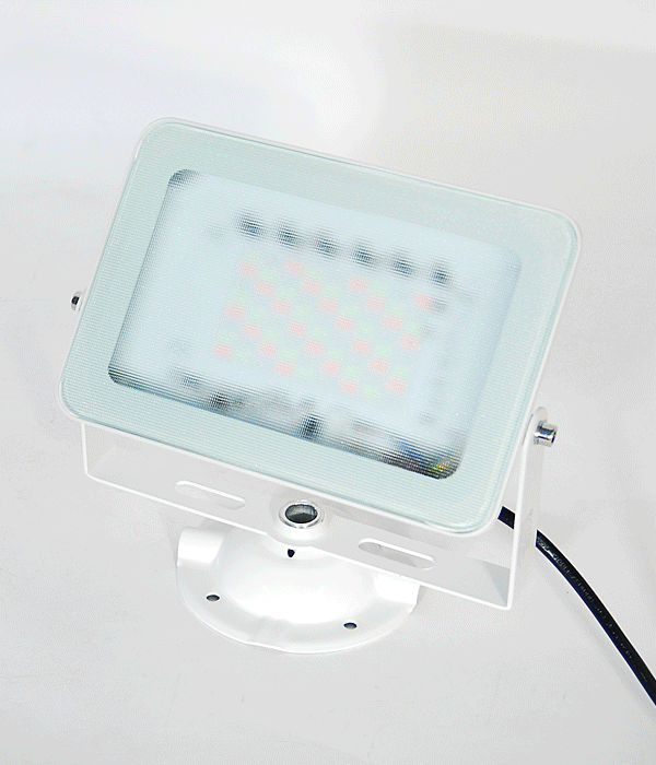 LED 컬러변환 노출 투광기 50W